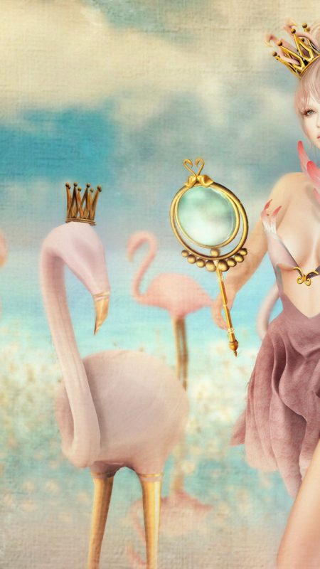 Flamingos