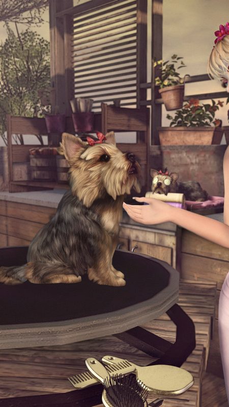 Yorkie on My Mind