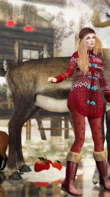Winter Fun