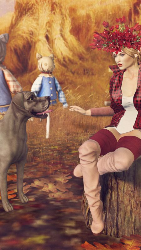 Autumn Harvest