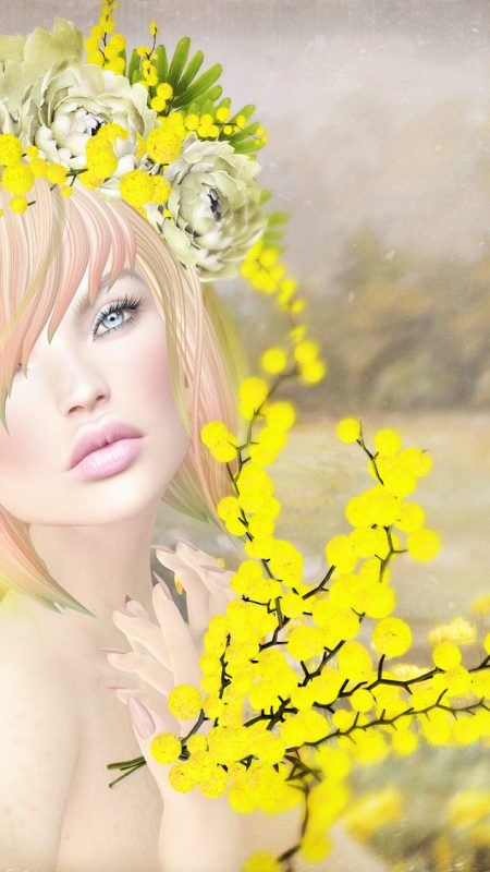 Mimosa