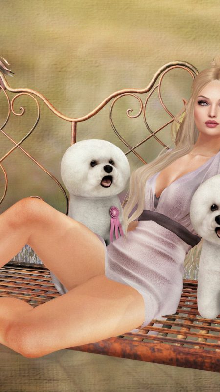 Best in Show