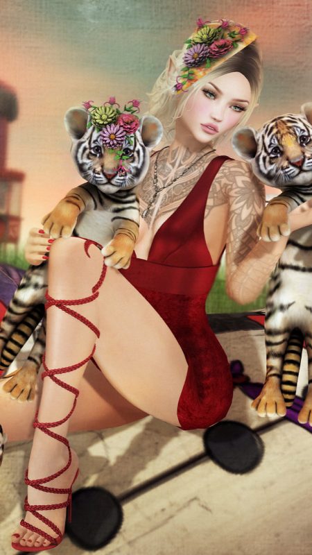 The Circus