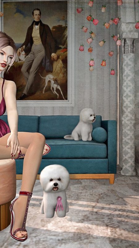 It Was a Bichon Frisé’s Life . . .