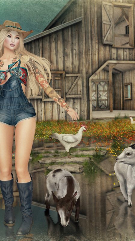 Boho Cowgirls