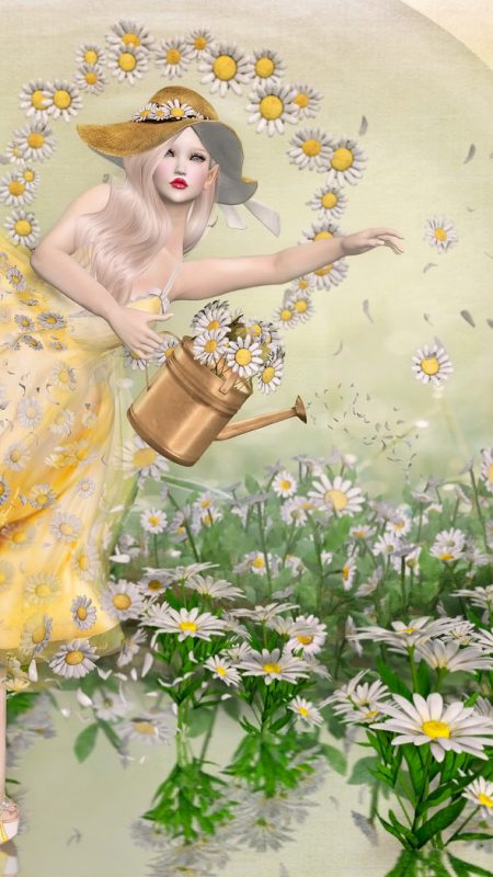 Daisy Dreamer