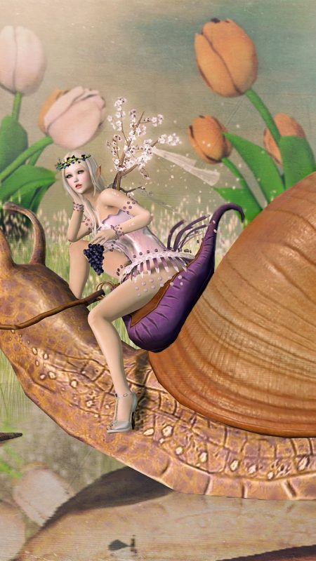 The Joys of Snail Racing