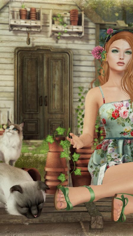 Rosie & Ragdolls