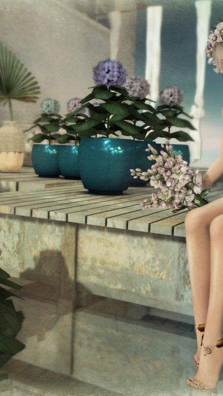 Hydrangea