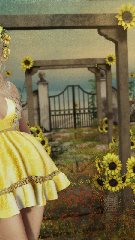 Sunflowers