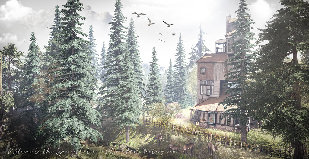 Live the Fairytale Life at Ippos Collective